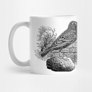 Victorian Starling Mug